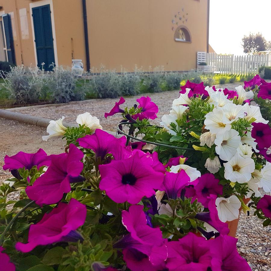 Casa Vacanze Vignarca - Localita Perelli Riotorto Exterior foto